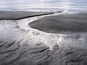 light on beach